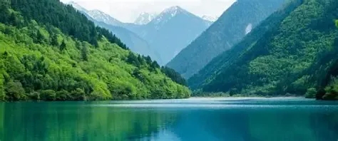 3c0878b1b4fcc9d5a901dfb0b435957e_640_wx_fmt=webp&from=appmsg&tp=webp&wxfrom=5&wx_lazy=1#imgIndex=1.webp